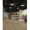 SPC ламинат Гранд Секвойя 5 mm (Grand Sequoia 5 mm) ГРАНД СЕКВОЙЯ КАМФОРА ECO 11-508 MC
