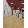 LVT плитка Дуб Ваниль Селект ECO 23-2