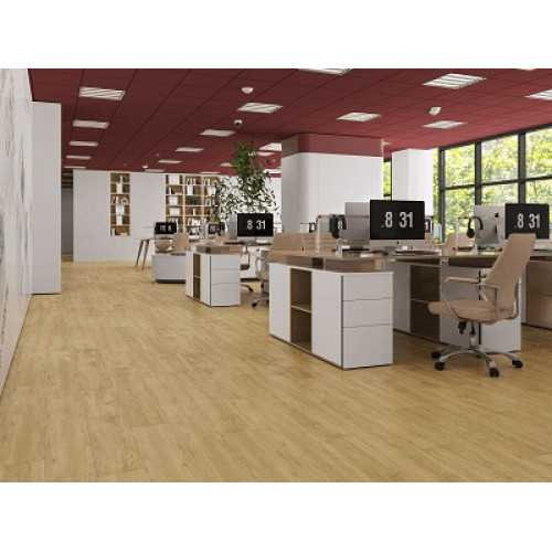 LVT плитка Дуб Ваниль Селект ECO 23-2
