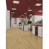 LVT плитка Дуб Ваниль Селект ECO 23-2