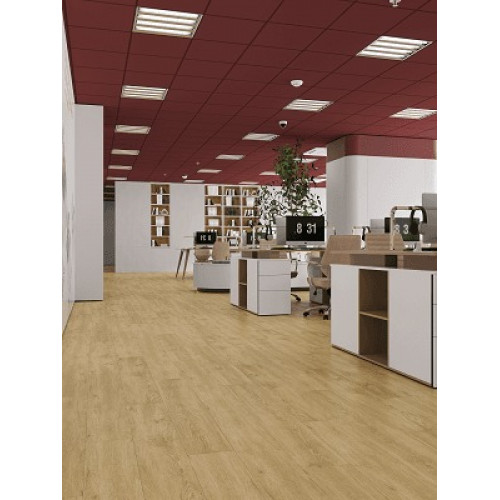 LVT плитка Дуб Ваниль Селект ECO 23-2