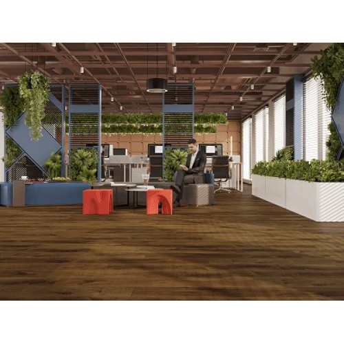 LVT плитка Дуб Натуральный Изысканный ECO 23-4