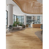 LVT плитка Макадамия ECO 23-5